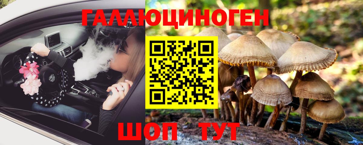 Псилоцибиновые грибы прущие грибы Зерноград