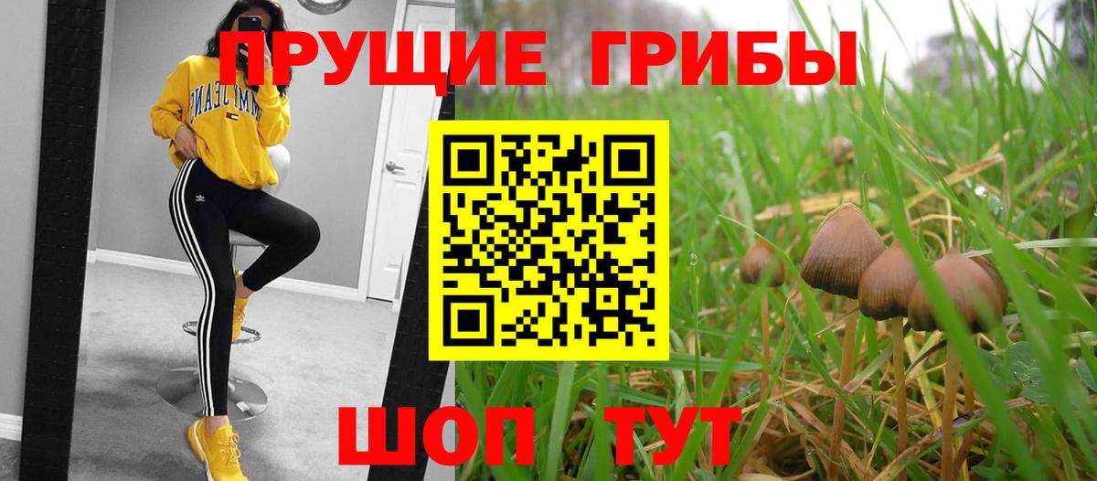 Галлюциногенные грибы Magic Shrooms  Псилоцибиновые грибы Cubensis  Вход с VPN  купить наркотик  Зерноград 
